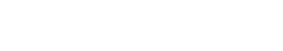 DiePresse.com Logo